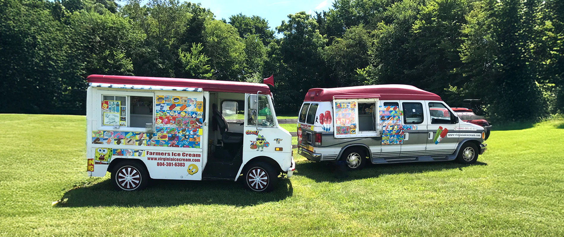 Virginia Ice Cream